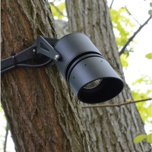 e9810ww_with_tree_strap1_3 e9810ww_with_tree_strap1_3