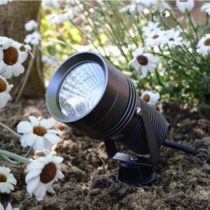 ep41240_spike12_garden_spotlight_p_1 ep41240_spike12_garden_spotlight_p_1
