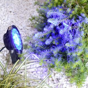 spot-blue spot-blue